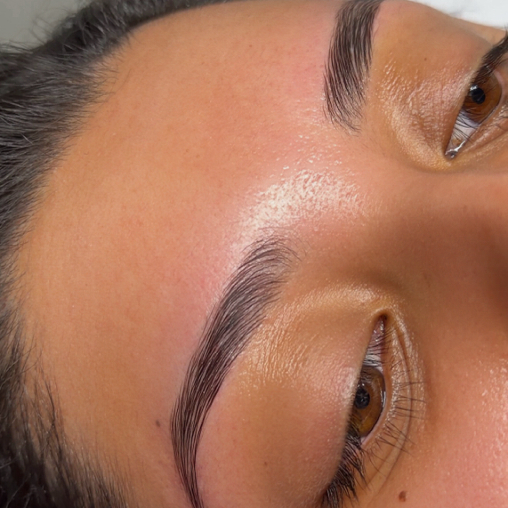 Brow Wax + Lami + Hybrid Tint at Corona’s Esthetics in Hot Springs, AR