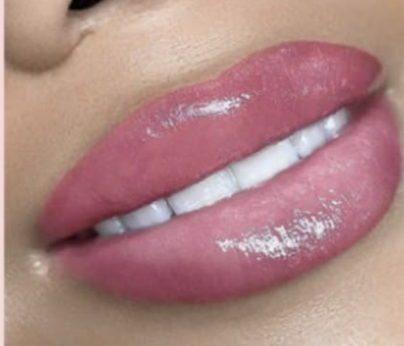Signiture Ombre Lips
