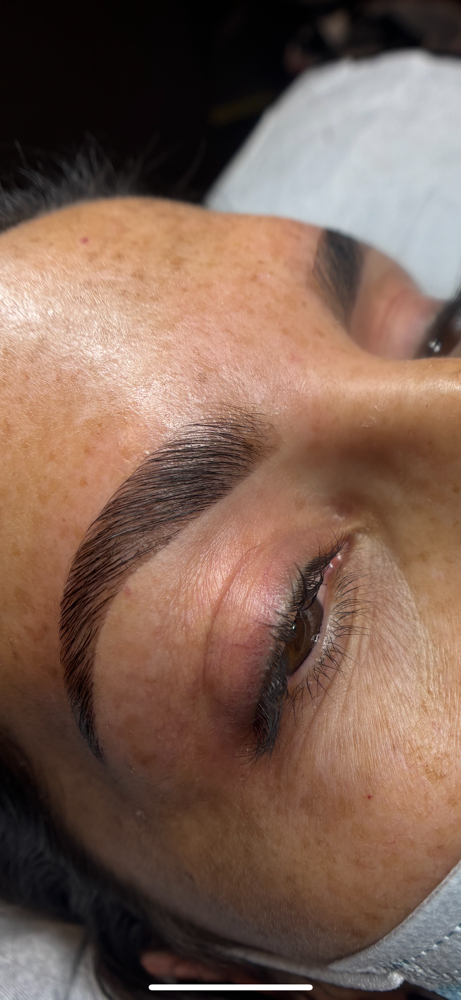 Brow Lamination, Wax, & Tint