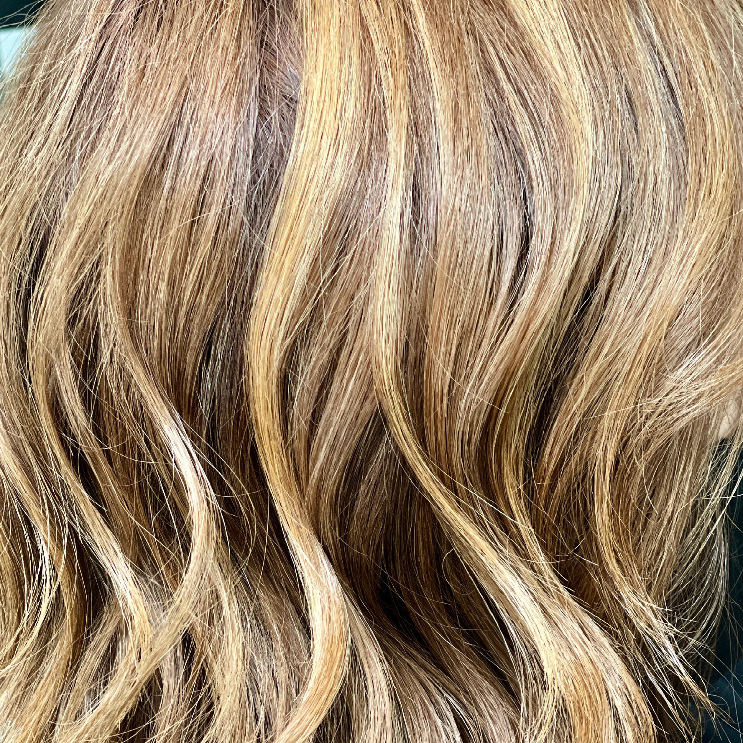 Cut And Color at Sarah Vidana in Sherman Oaks, CA