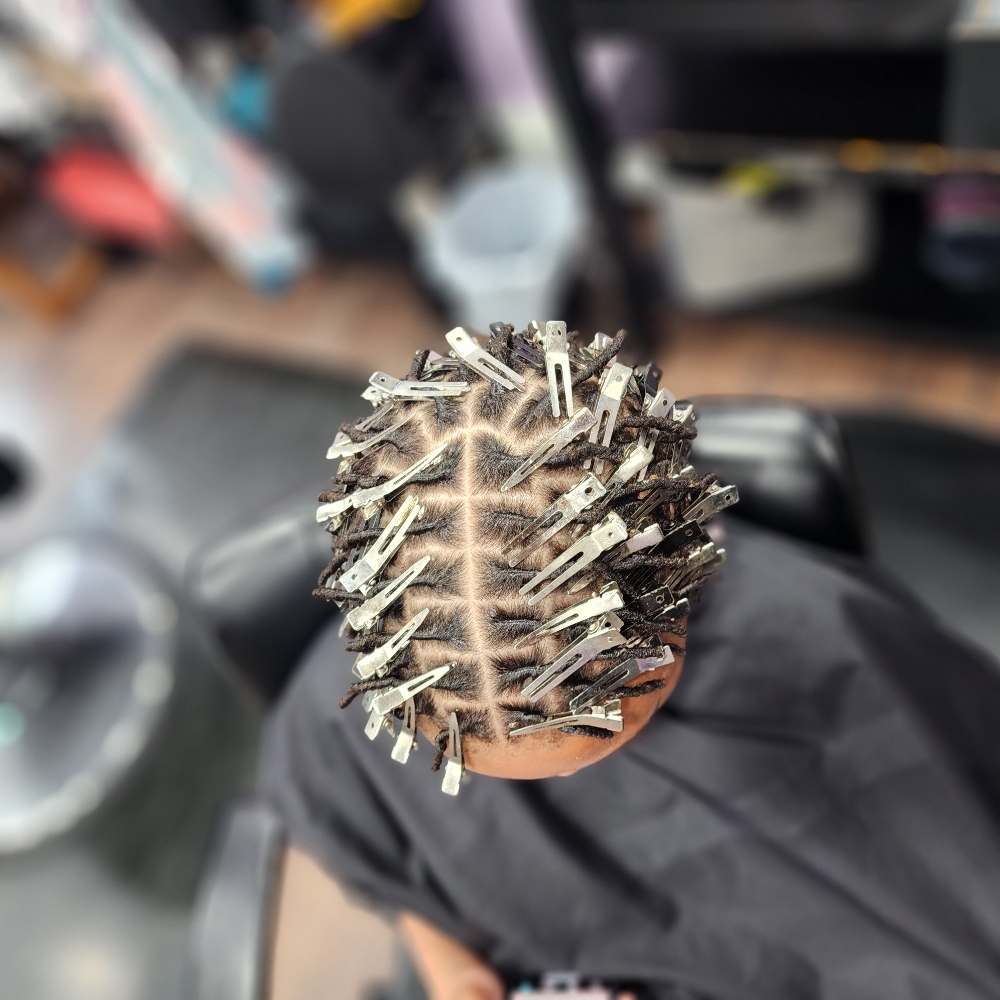 Starter Locs