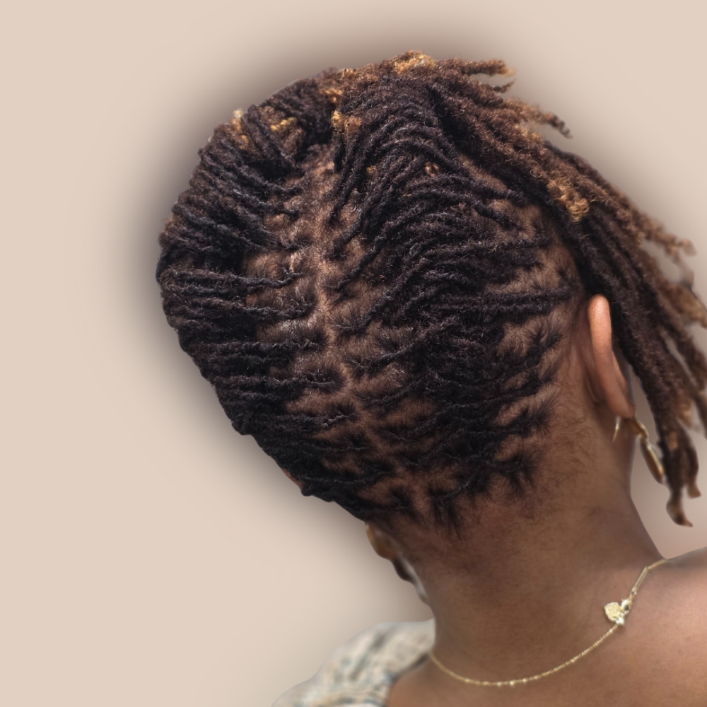 Loc Style Only at Touch of Heaven Artistry in Humble, TX