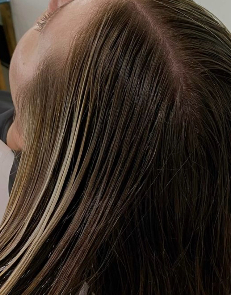 Reverse Balayage / Lowlights