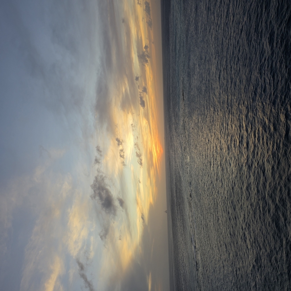 IV Hydration Bundled With Facial