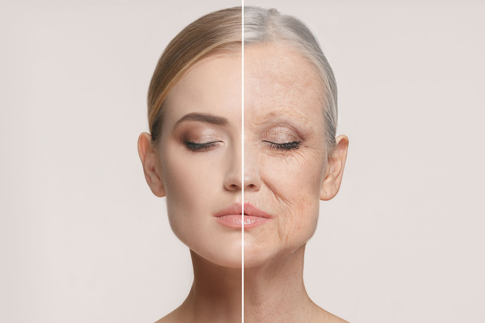 The Healthy Aging Facial