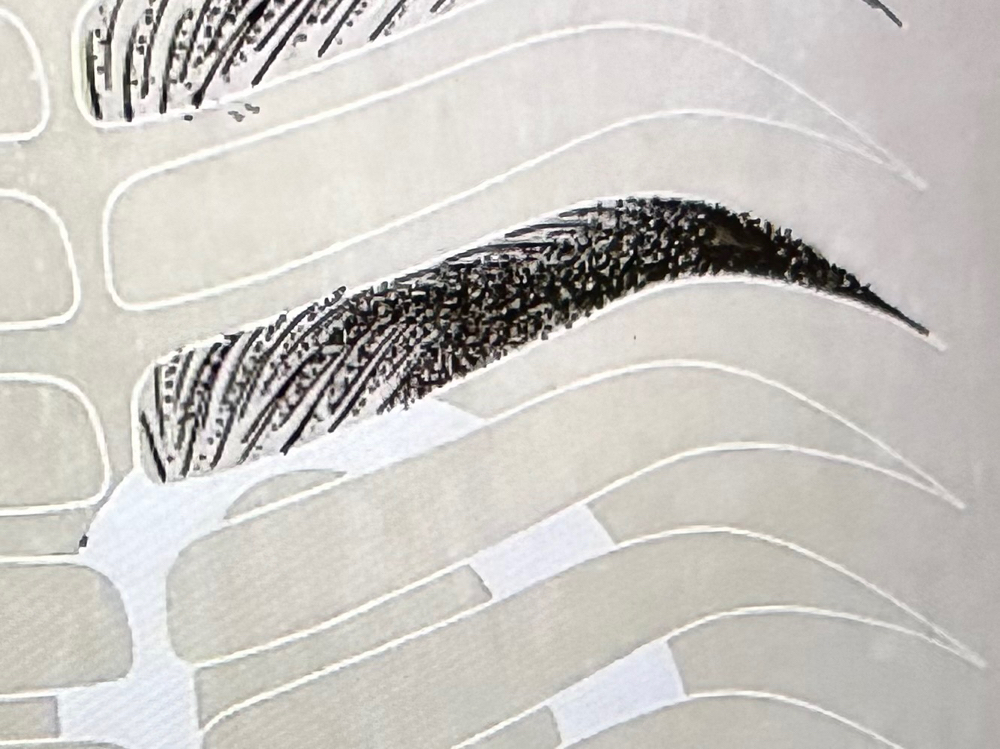 Microblading & Shading