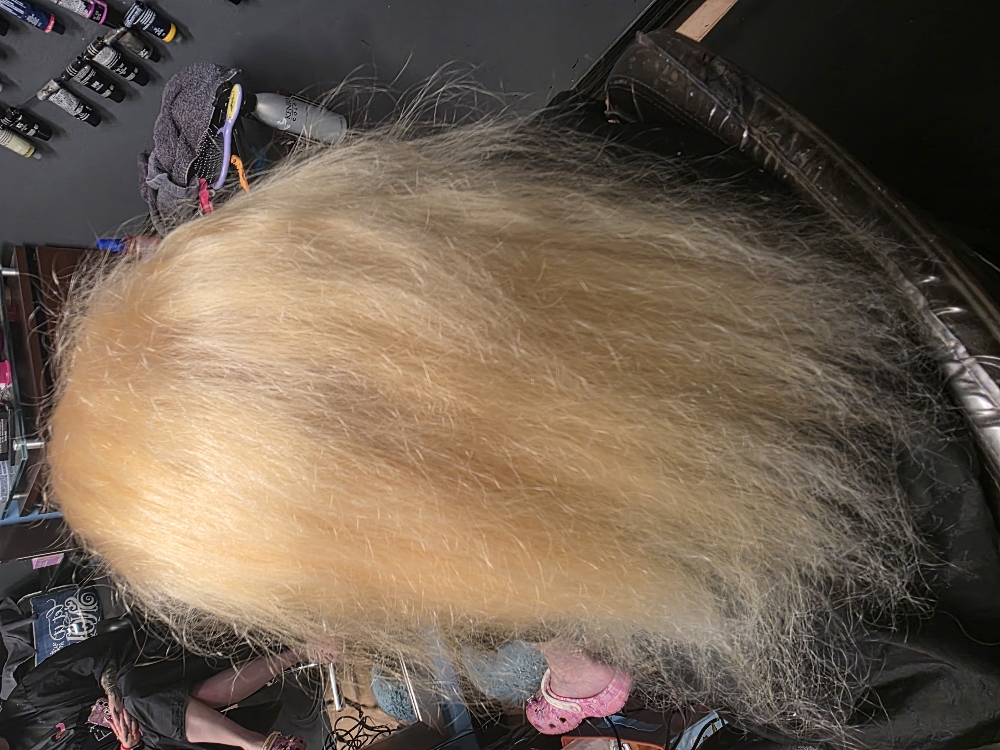 Platinum Card at Colourado Styles in Colorado Springs, CO