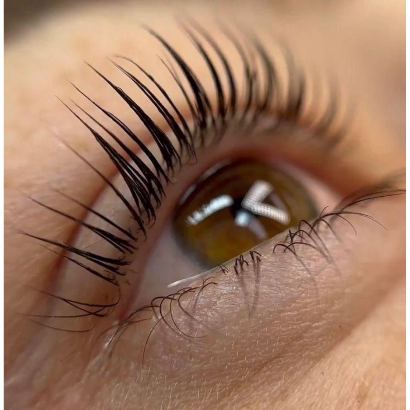 lower lash tint at Brow Aura in Raleigh, NC