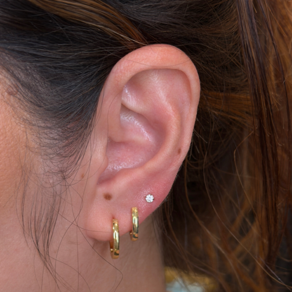 Lobe(s) at Des in Thatcher, AZ