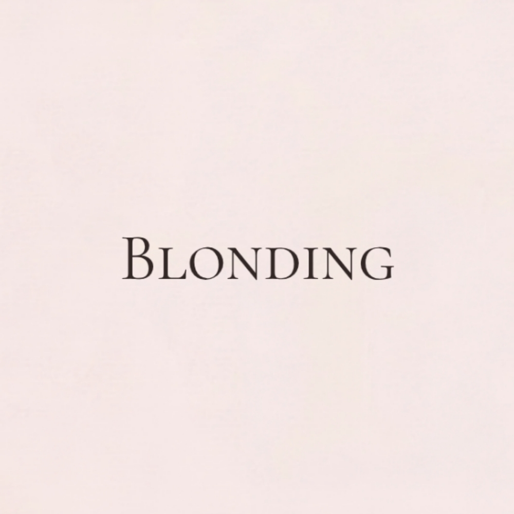 Full Blonding (Highlights/Balayage) at Mane Haven Salon in Somerville, MA