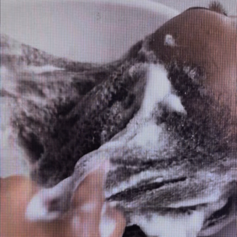 Wash & Blowdry at Quiana Brown in South Orange, NJ