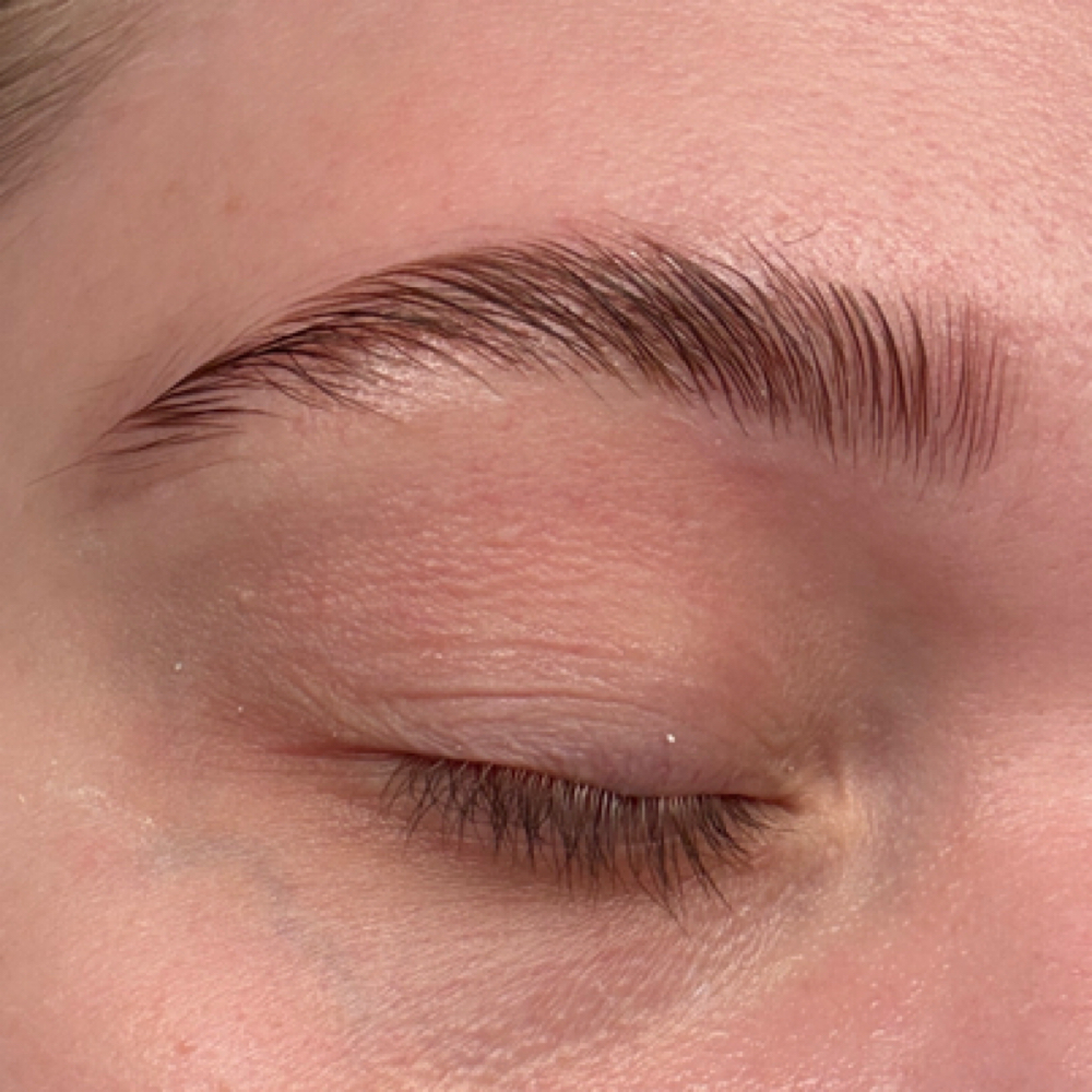 Brow Lamination W/ Wax And Tint at The Happy Hippie Esthetician in Roscoe, IL