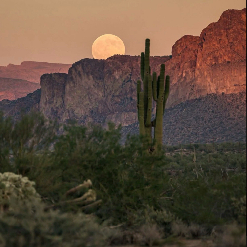 High Noon Blonding Package at 3c. Hair. Co. in Kearney Ne, NE