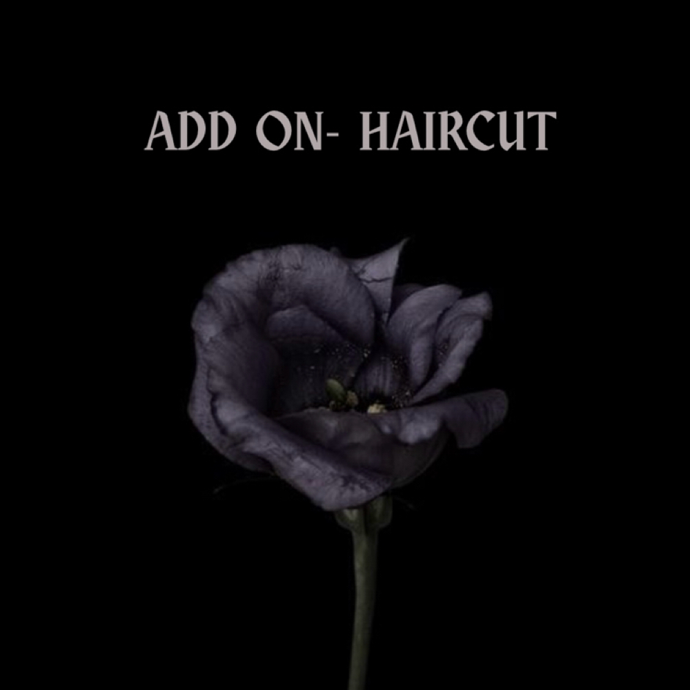 ADD ON- HAIRCUT at STARDROPHAIR in Vancouver, WA