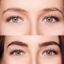 Eye Brow Tint