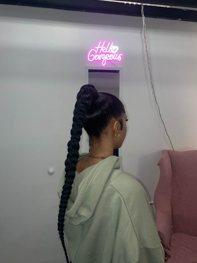 Braided Ponytail