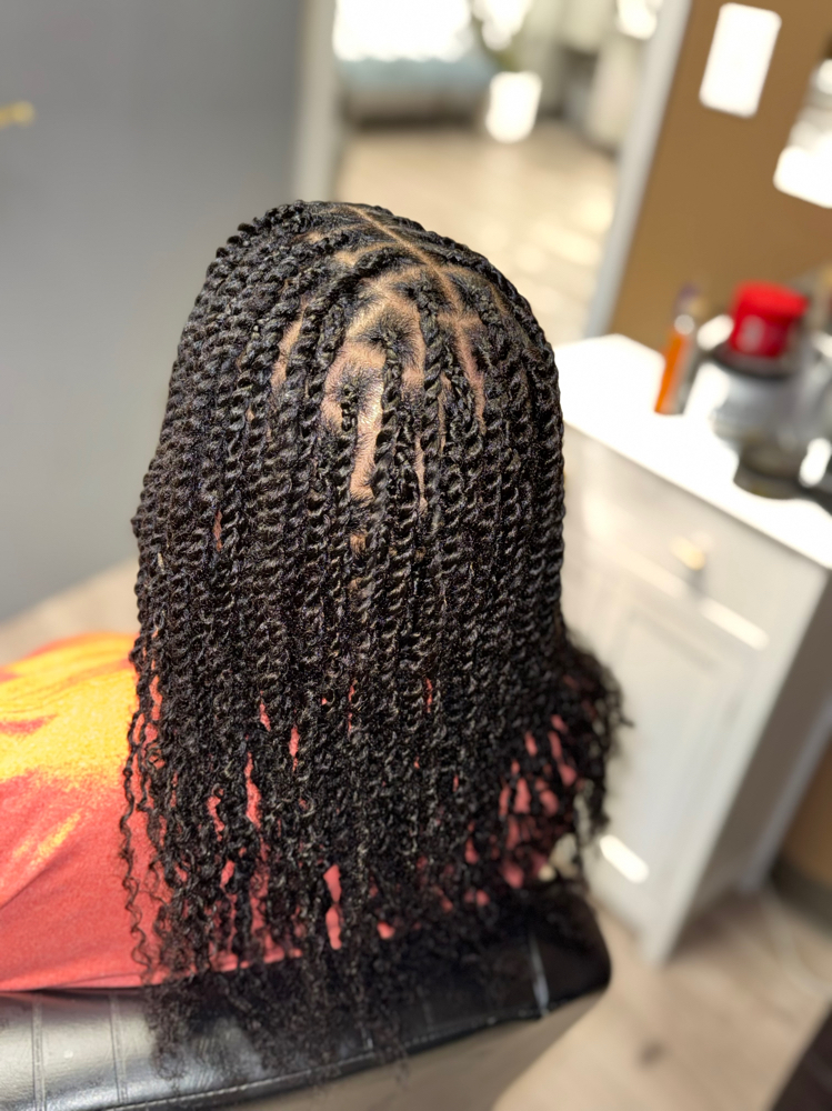 Two Strand Twists w/ Added Hair