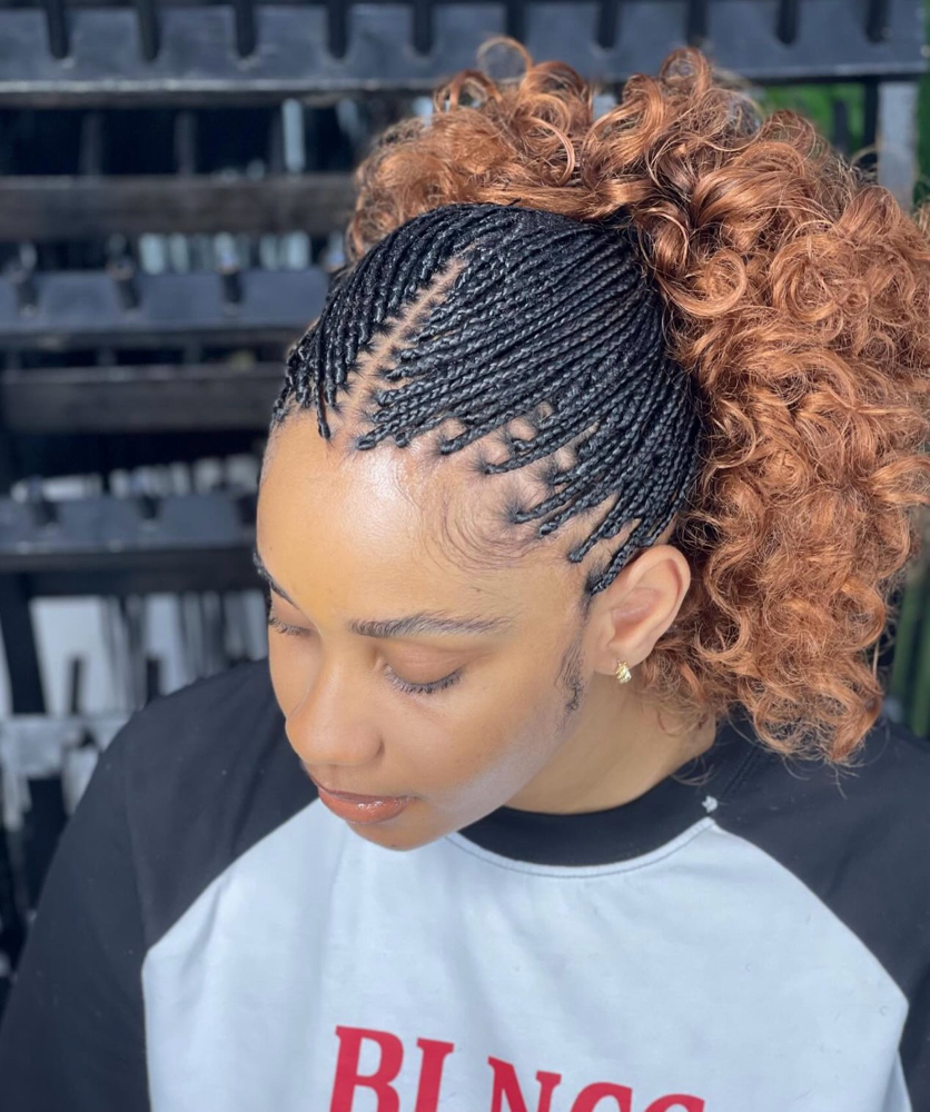 Micro Braids