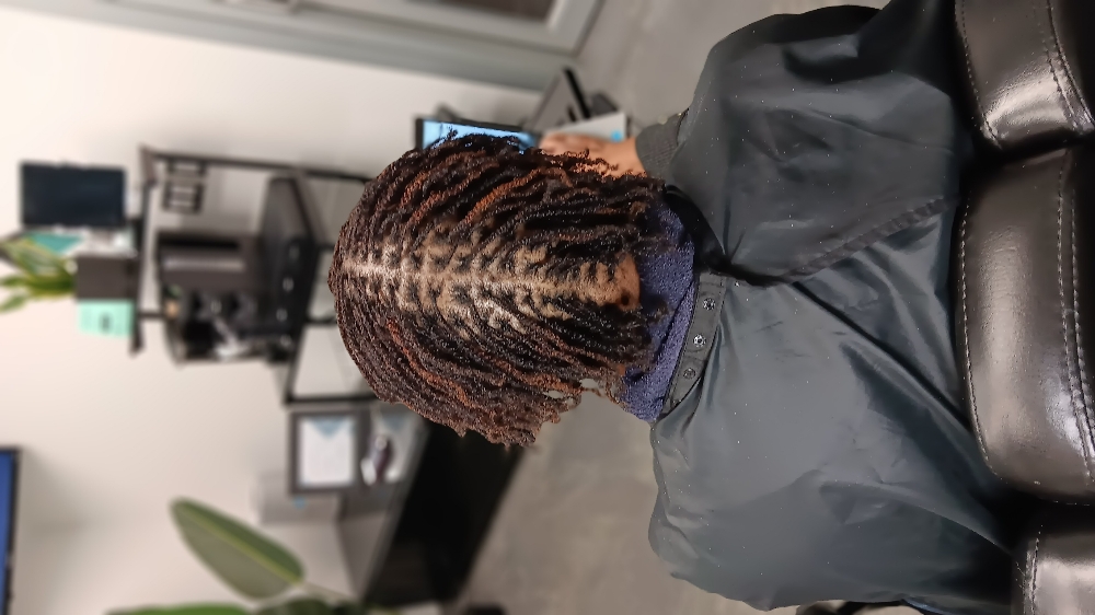 Microlocs Twists *Afterpay Accepted at Mirror Emajez in Amherst, NY