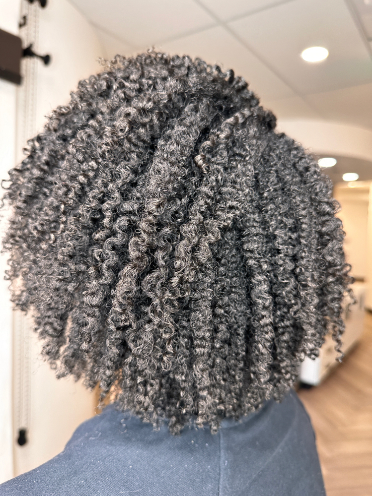 Sesonal Curly Cuts