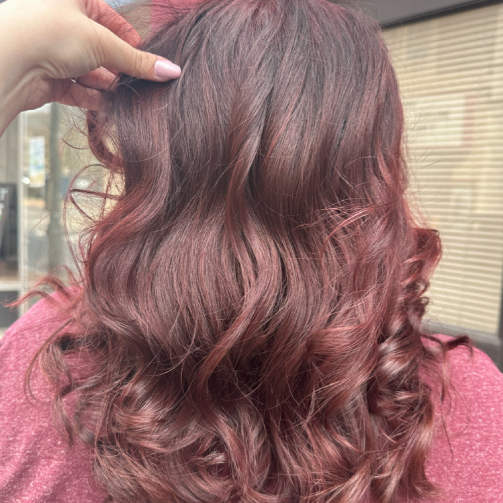 Root Touch-Up at Ryan Leach in Staunton, VA