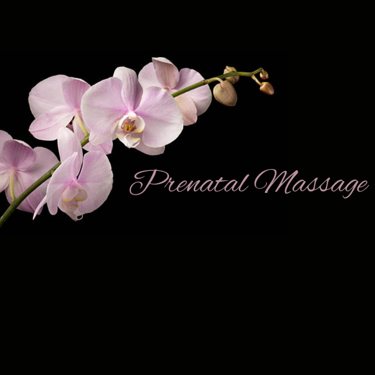 Nurture Nest - Prenatal Massage at Krista Starling Mobile Massage