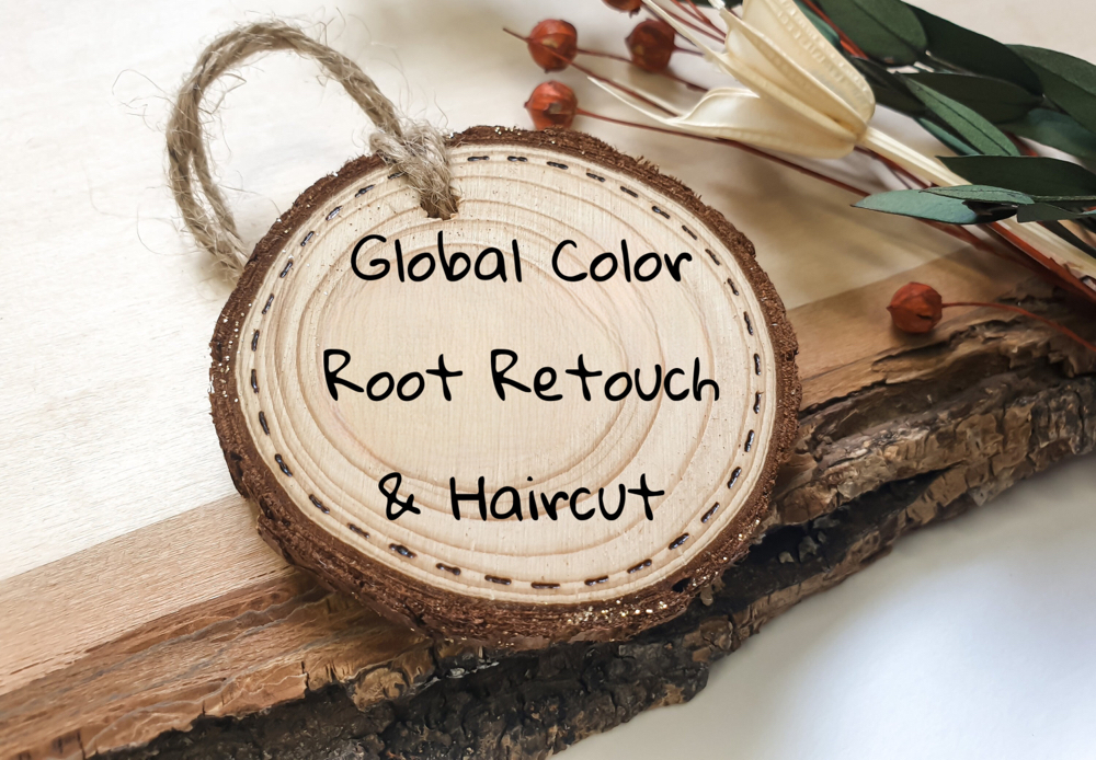 Global Color Root Retouch & Haircut