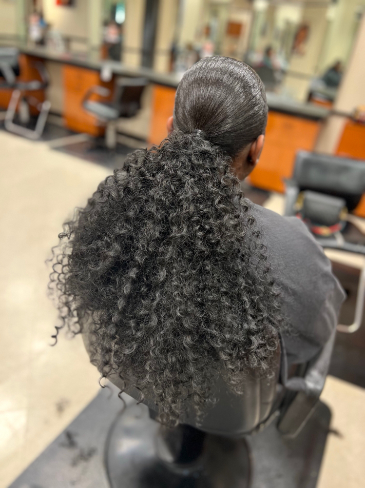 Updo (Ponytail)