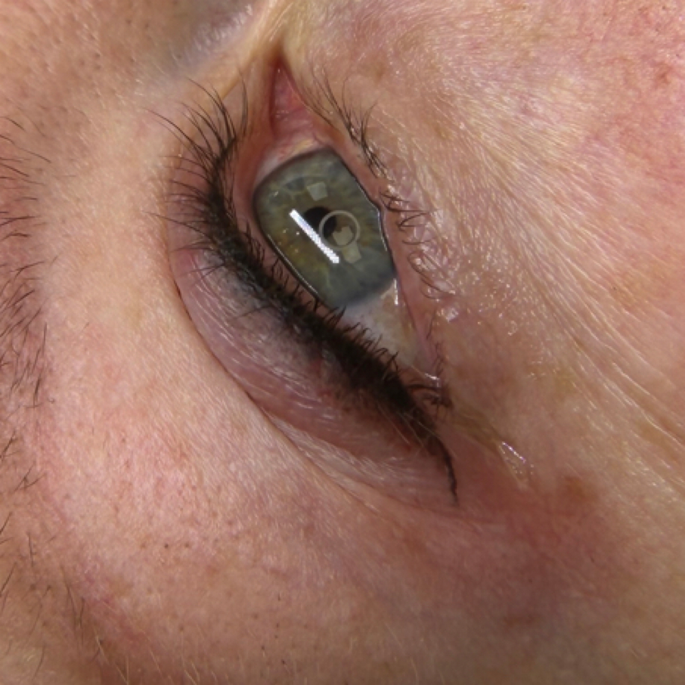 Consultation Eyeliner at Brow Luxe PMU by Rona in Santa Clara, CA