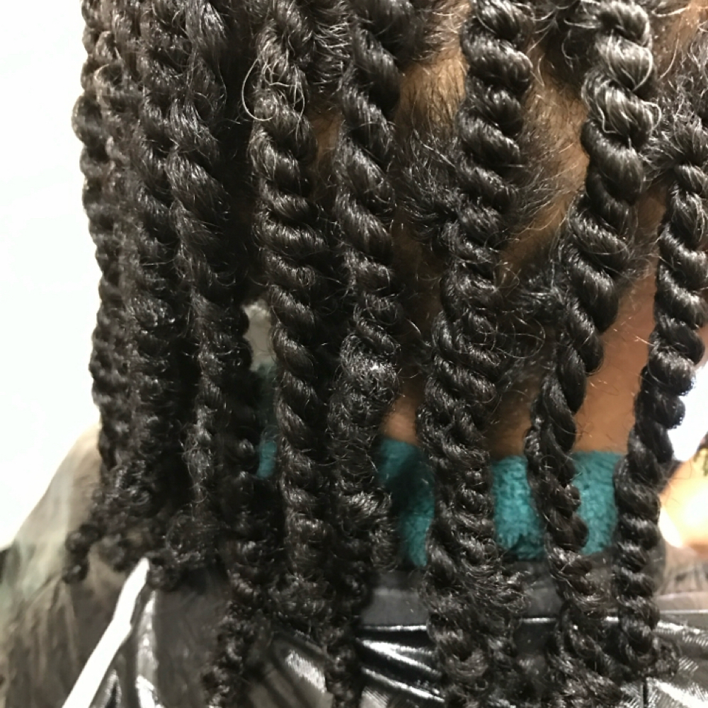 Natural Styles - Two Strand Twist at Payton Rose in Grayson, GA
