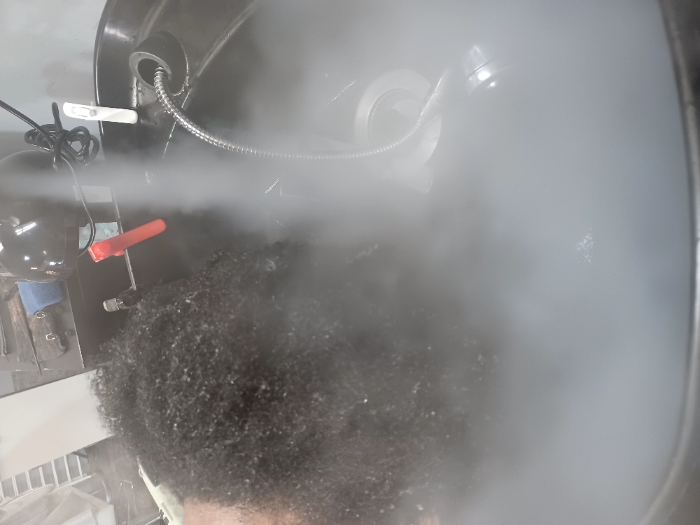 STEAM DEEP COND  HOT OIL OR PROTEIN