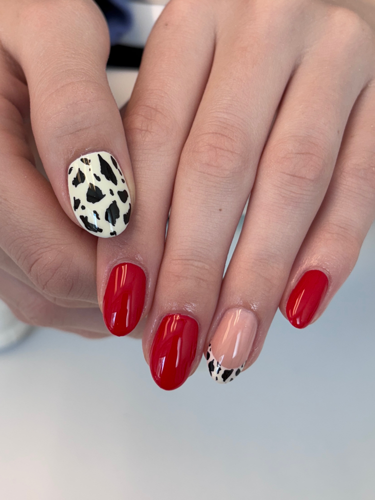 NEW SET - Polygel (acry-gel)