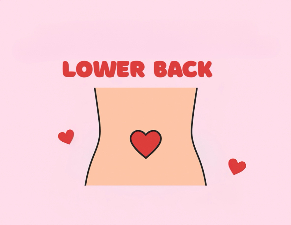 Lower Back