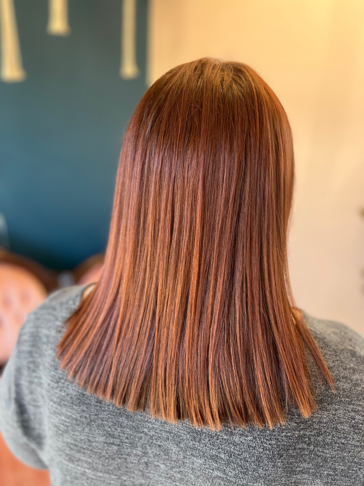 Root Touch Up
