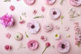 Glymed Spring Cleanse Facial