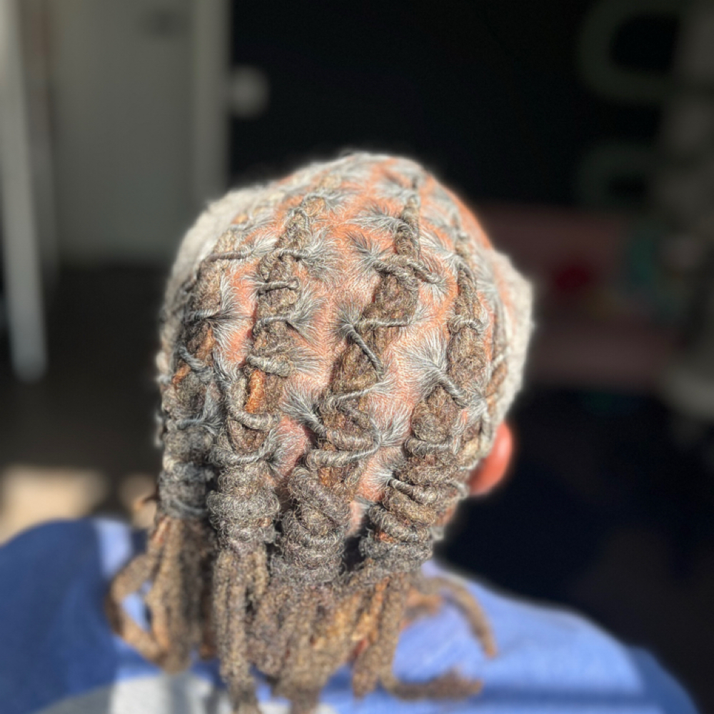 Loc Re-twist & Simple Style at Sunlit Salon & Co. in Denton, TX