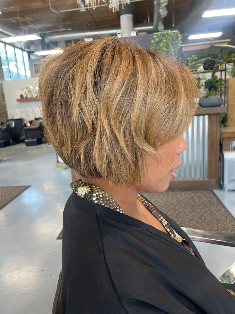 Haircut w/ Blowdry + Silk Press