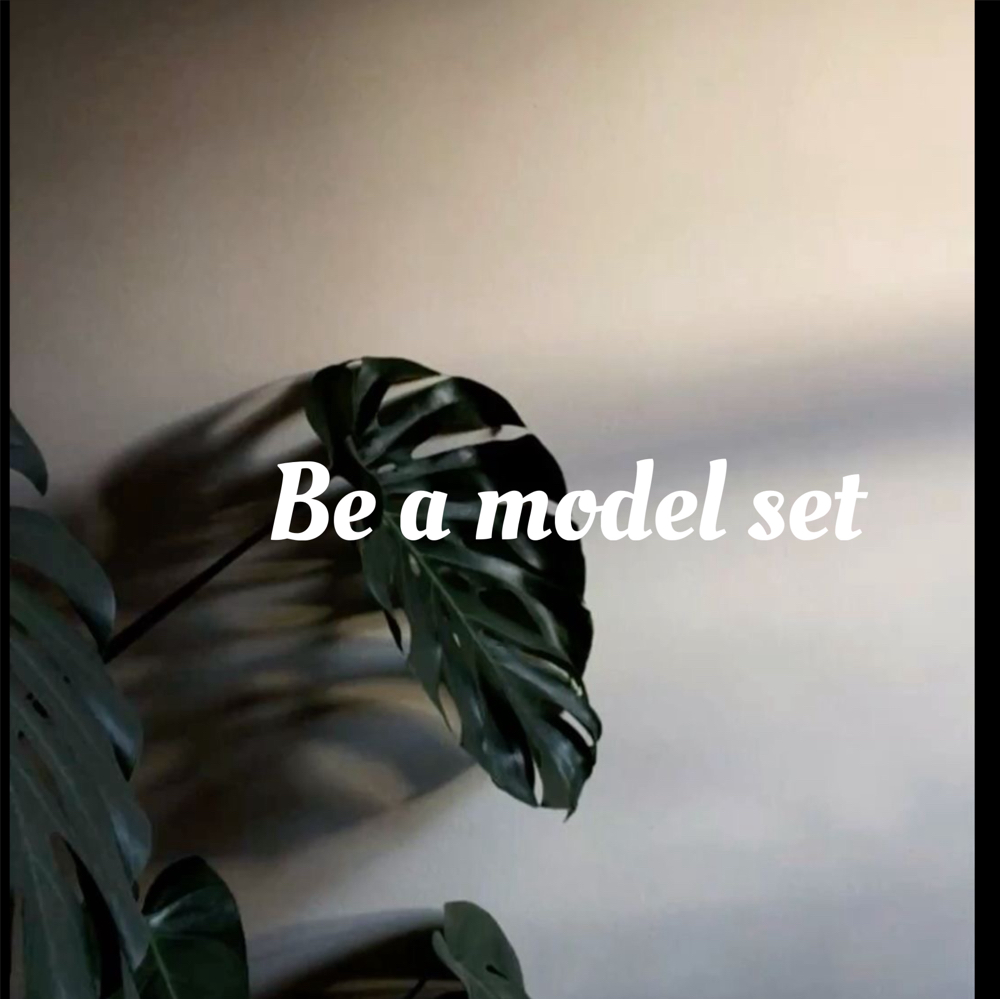 Be A Model Set
