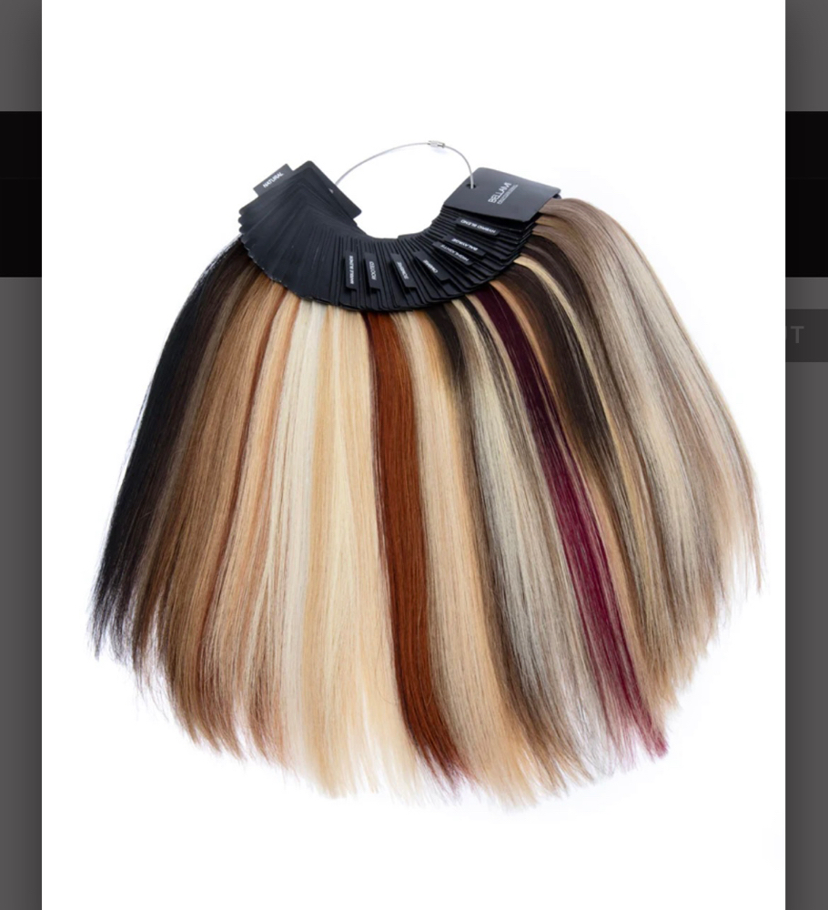 Hair Extension Consultation