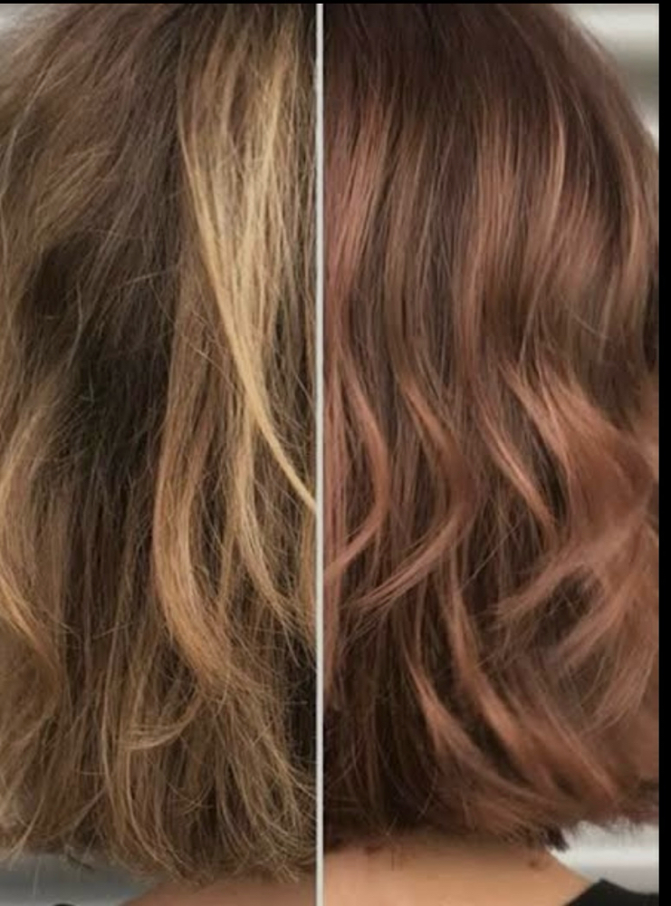Gloss/Toner