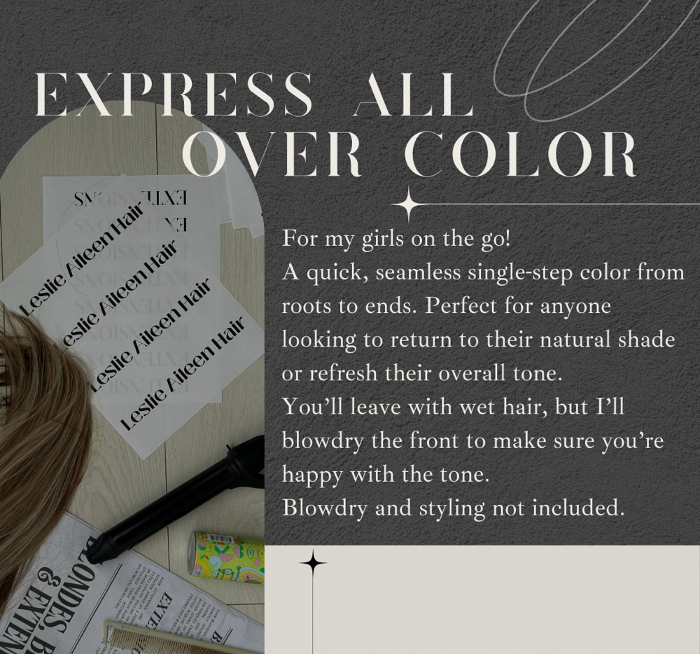 Express All Over Color at Leslie Aileen Hair in Plano, TX