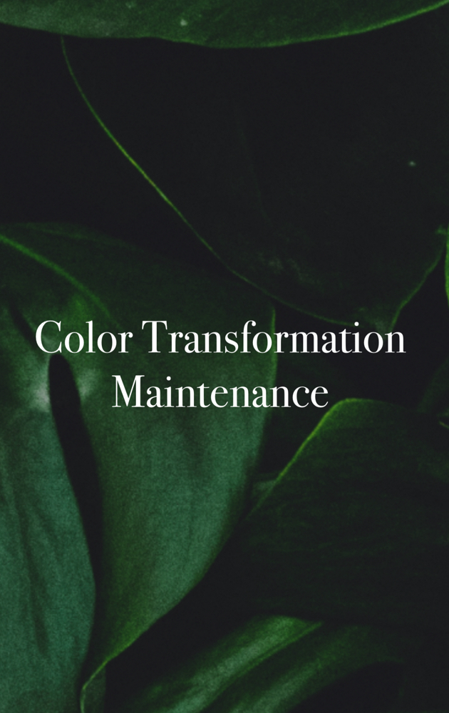 Color Transformation at Anestie Beauty Lounge in Franklin Square, NY