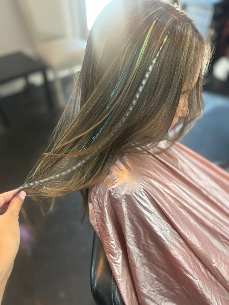Feather Extension at Glam by Jozie in Waxahachie, TX