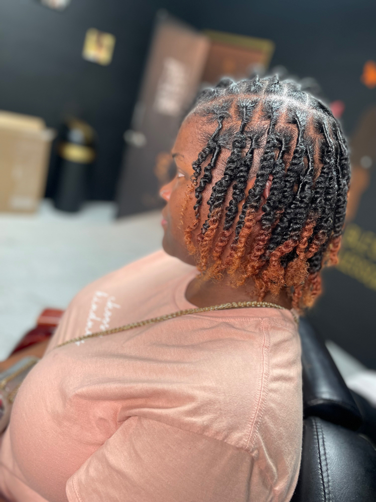 Starter Locs- Two Strand Twist