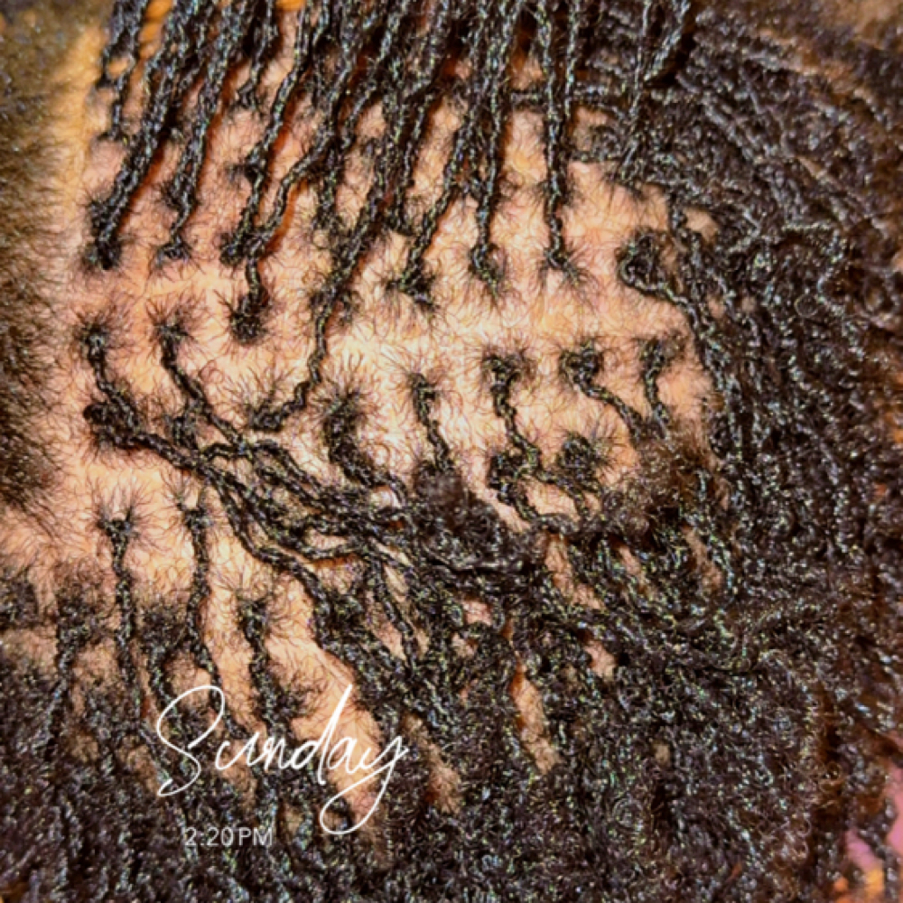 Microlocs Install at SlayedByLalaJ in Jacksonville, NC
