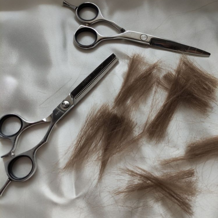 Haircut at Clover House Salon in Canton, OH