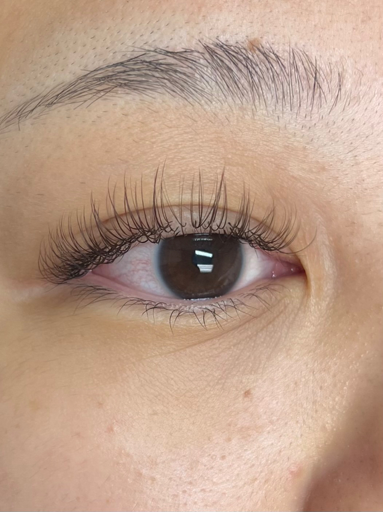 Classic Lash Fill