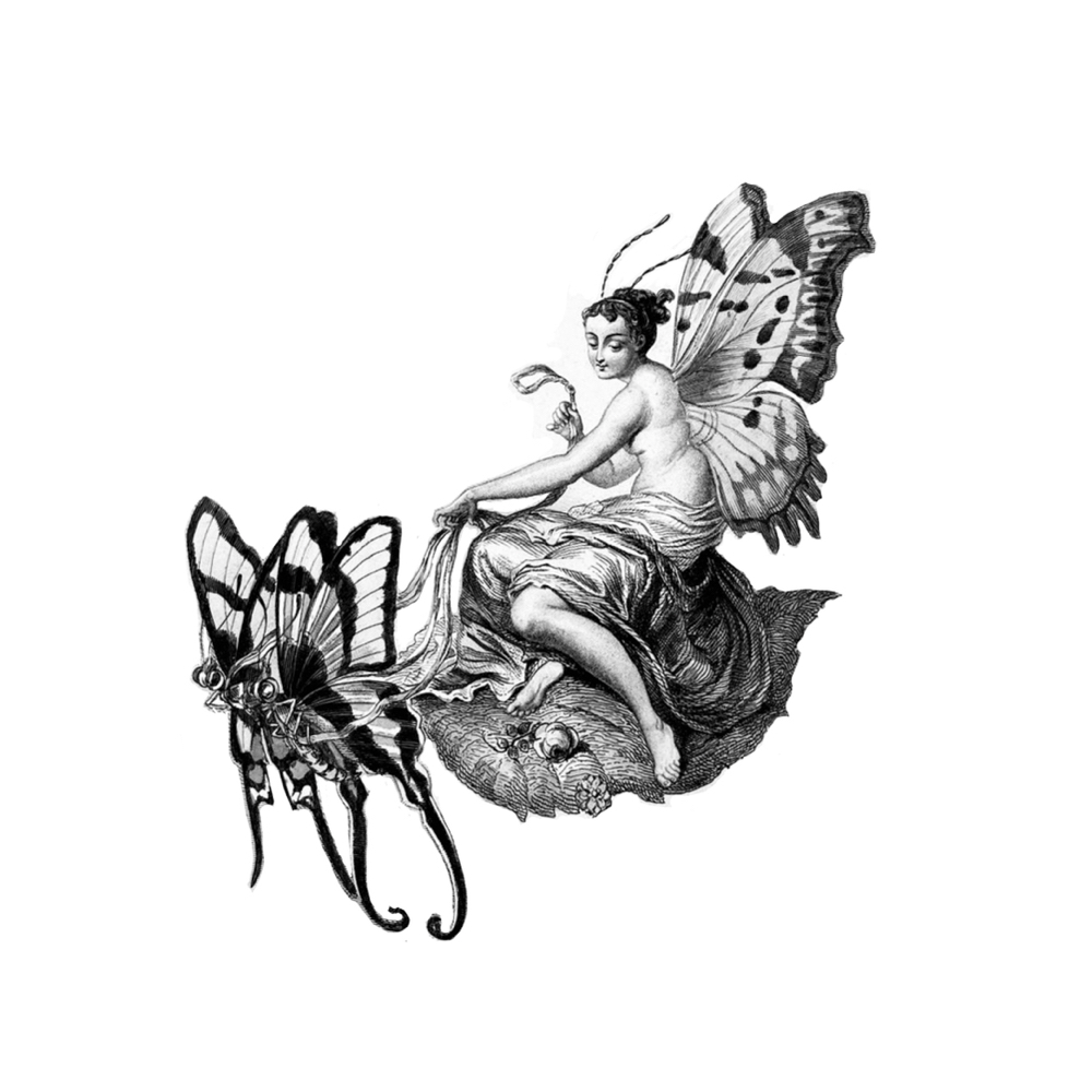 Butterfly Queen - 2 Sessions
