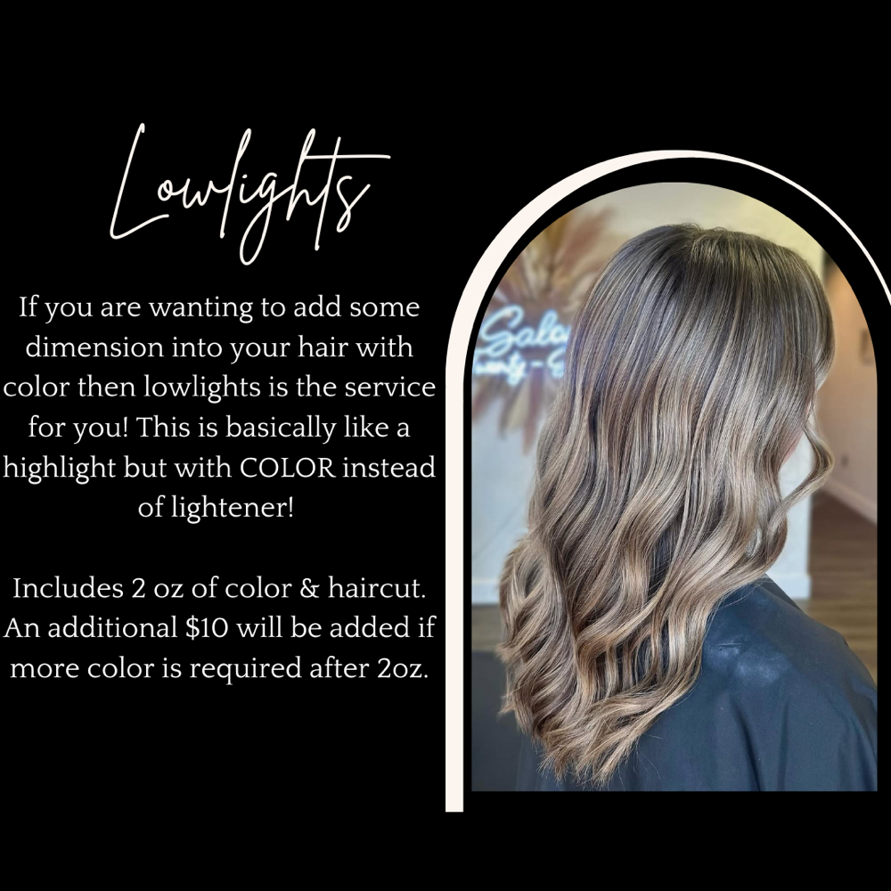 lowlights at Salon Twenty-Seven in Jonesboro, AR