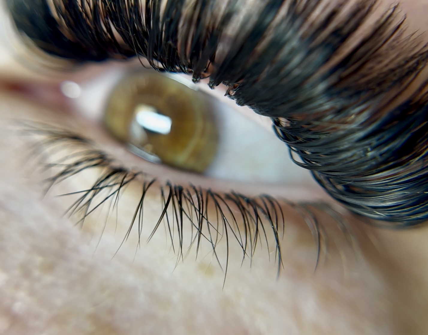 Bottom lash extensions